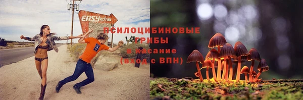 сатива Абаза